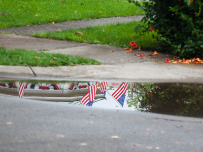 Patriotic puddle.
