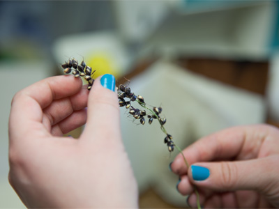 The orange-loving artist is working with new materials (see March 25, March 26 and April 15, 2012).