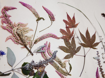 She`s heading in an interesting new direction.