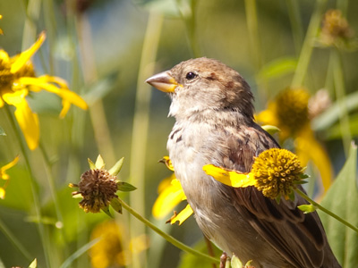 This one was not a gift.  I worked for this picture.