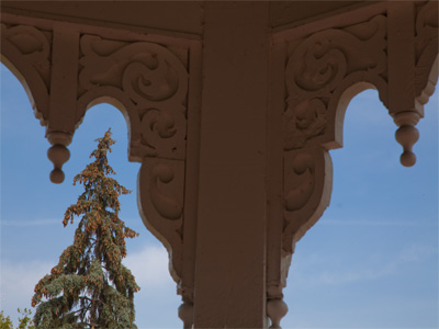 Taking shelter from the bright sun.