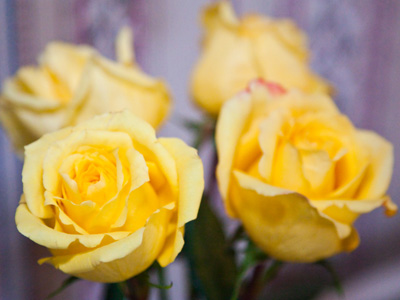 Happy birthday, Anna!