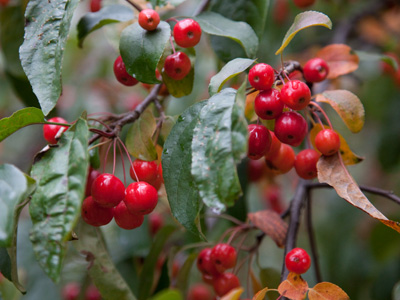 Camera in one hand, umbrella in the other.