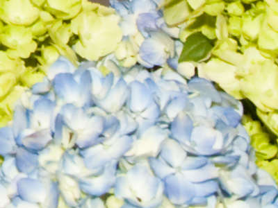 I`d turn back if I were you.