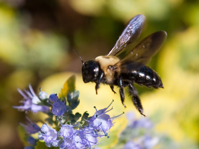 Fifth and Jefferson - looking down.