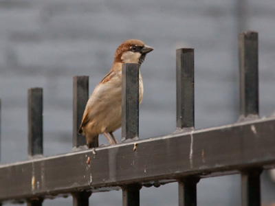 Stand tall, even if you`re little.  Especially if you`re little.