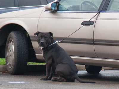 There are so many reasons why this troubles me.