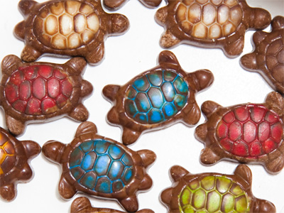 Ever the nature lover, I have a chocolate turtle sanctuary.