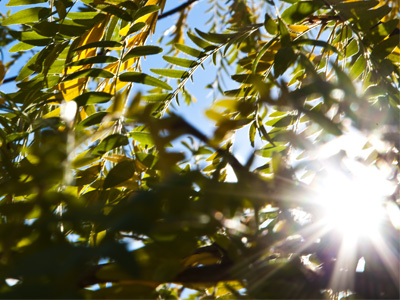 Another bright and frigid fall day.