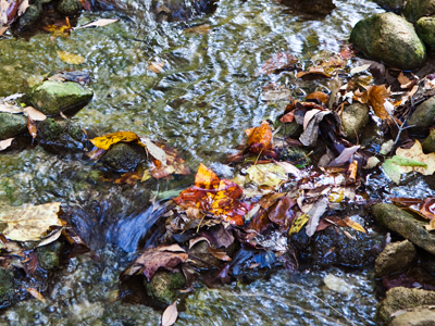 It did, in fact, babble.