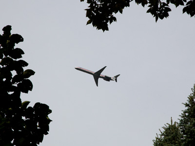 I was standing next to another photographer, and we both pointed our cameras up toward the sky instinctively.