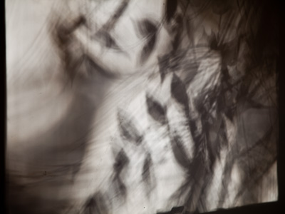 Autumn shadows decorate the wall better than any picture.