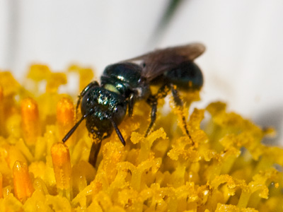 It was a lovely summer day.