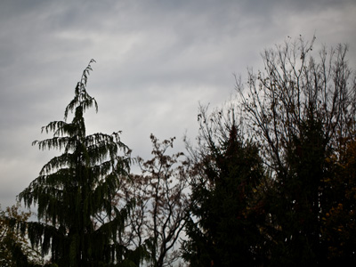 It was an ominous winter day.