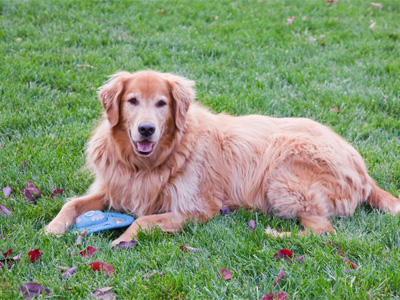Wrigley just takes it all in stride.