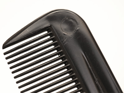 I was ready to go to bed when I remembered:  PHOTOS!