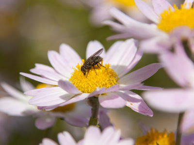 We`ll check back with you in LATE November to see how you`re doing.