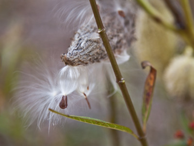 Planning ahead for next year.