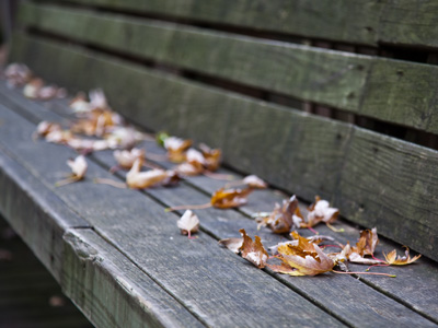 The world is molting.