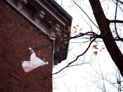 Pop cans no longer have pull tabs that come off and get tossed on the ground.  Someday these will go away too.