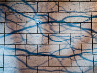 I stopped by RiverScape on my way to the public library.