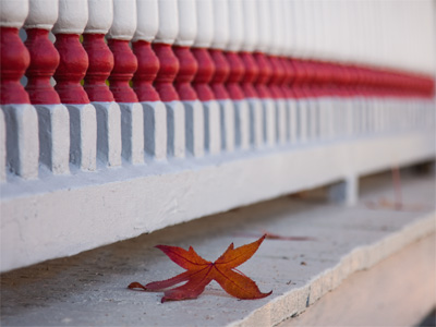 One leaf is picturesque.  A yard full of them is a nuisance.