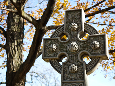 Life, death and dying all in one photograph.