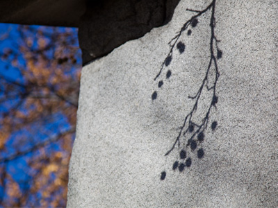 The shadow of a falling leaf fluttered by, but I missed it.