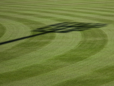 I guess you could say Dayton`s bats have gone silent.