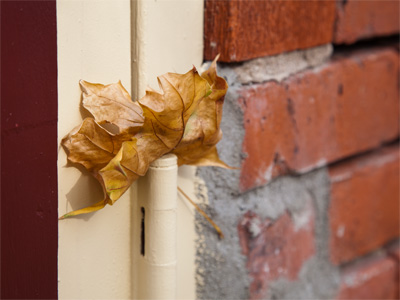 My way of life is fall`n into the sere, the yellow leaf and that which should accompany old age.  `Macbeth,` Act V Scene 3 by WILLIAM SHAKESPEARE