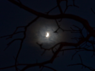 It was a dark and warmy night.