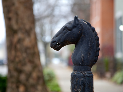 An old relic of my neighborhood (Get it?  Neigh-borhood!).
