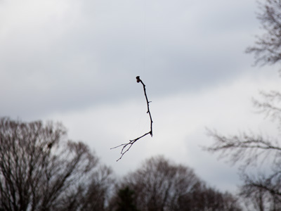 Hanging around the pond.