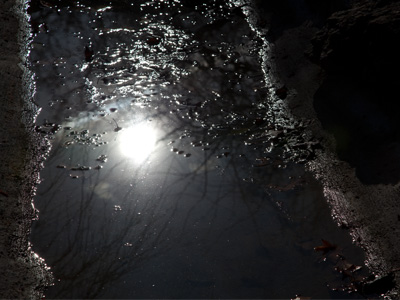 It was an artificial pond so the fish had nowhere to go -- except into the heron`s beak.