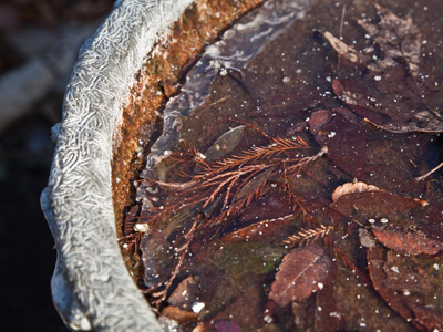 Winter won`t even start for another three weeks.