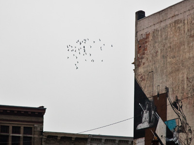 Hanging around downtown.