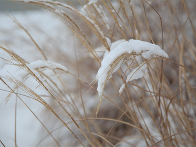 Will we have a more normal, wintery winter this year?