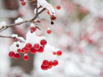 Had to stand on a park bench to get this one.