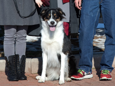 Whenever the dog decided to look at the camera for a brief moment, I had to hope her humans were smiling.
