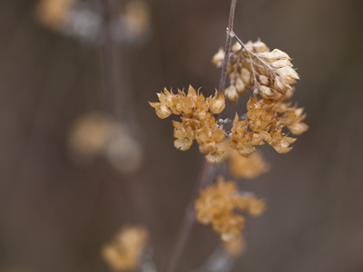 I made an effort to get outside today and take some good pictures to make up for the trash I`ve put online here lately.