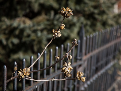 The struggle for life.  On a day like today, some will lose.