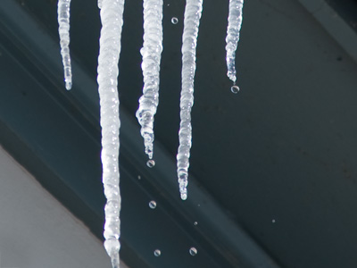 Below this was a shrub with second-generation icicles.