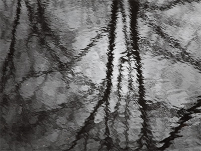 Wet and windy Wednesday.