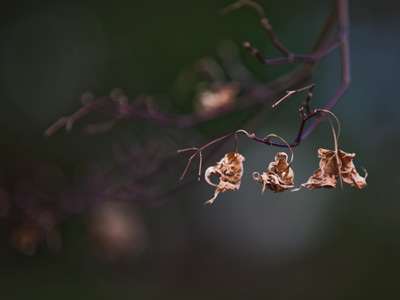 It was unusually warm today, but nothing like spring.