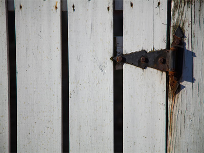 Today is texture day.