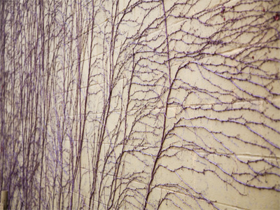 A weedy wall, shot at an angle, becomes fabulous art.