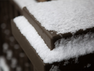 What did the groundhog say?