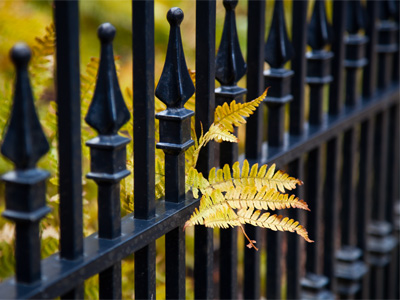 In just a few weeks, there will be TULIPS peeking through.