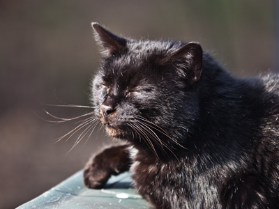 I`m sorry, am I boring you?