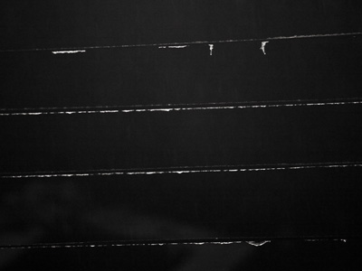 Why I`m once again taking pictures indoors.